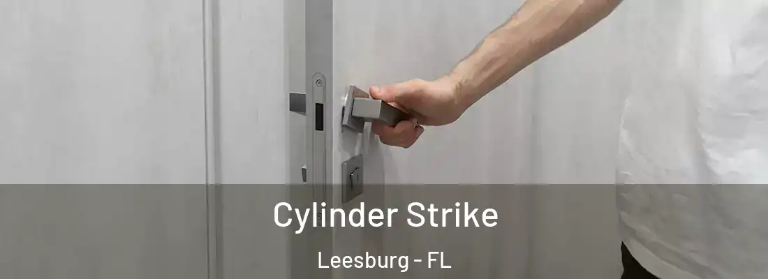 Cylinder Strike Leesburg - FL