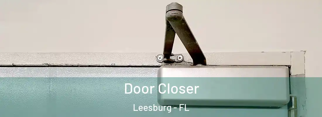  Door Closer Leesburg - FL