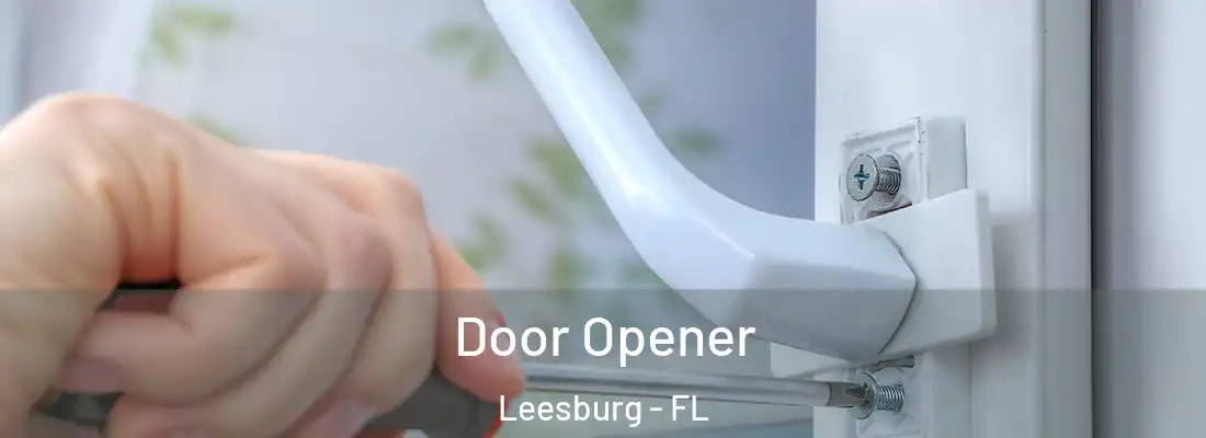  Door Opener Leesburg - FL