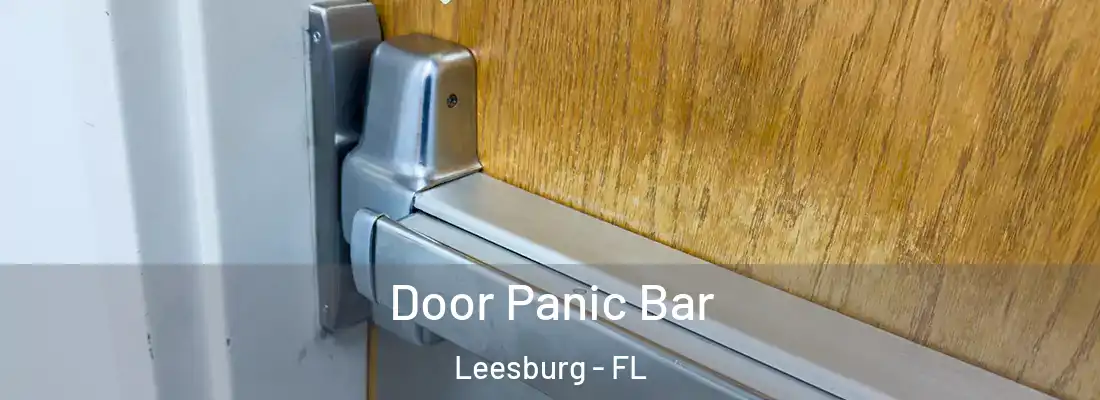  Door Panic Bar Leesburg - FL