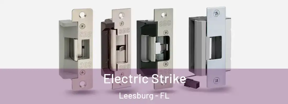  Electric Strike Leesburg - FL