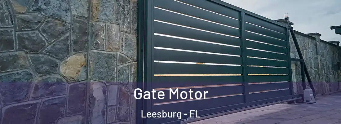  Gate Motor Leesburg - FL