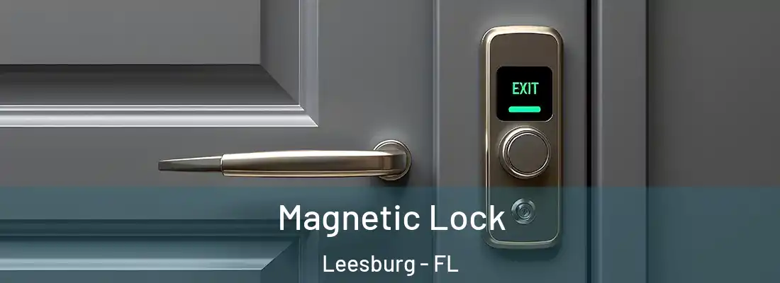 Magnetic Lock Leesburg - FL