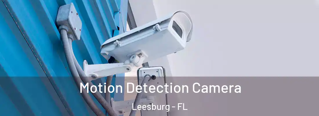  Motion Detection Camera Leesburg - FL